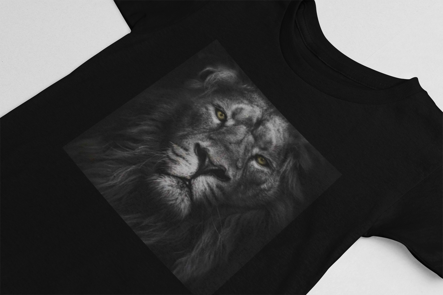 LIONS GLARE GRAPHIC TSHIRT